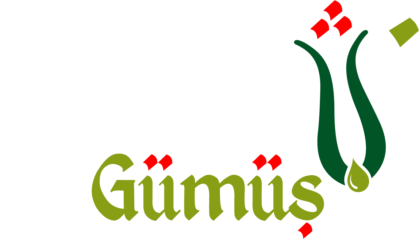 Mesnevi Gümüş